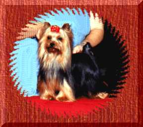 Booger � 1999