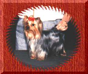 Dee � 1999