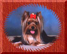 Fancy Dancer � 1999
