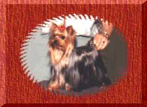 Tara � 1999