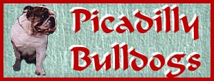 Picadilly Bulldogs