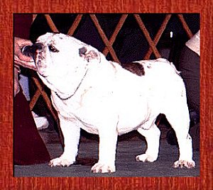 Brewster The Picadilly Bratt  � 2002