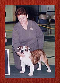 JAD's Kiss-A-Bull NJ Bratt � 2003