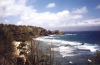 Along the Coast