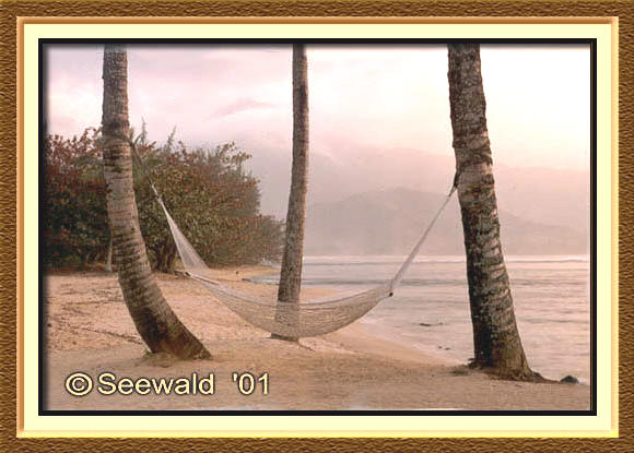 hawaii2