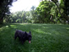 Click For Bigger Image