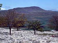 Whernside