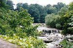 Upper Falls, Aysgarth