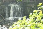 Lower Falls, Aysgarth