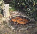 Chalice Well