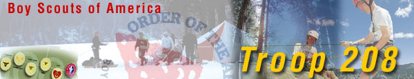 BSA Troop 208
