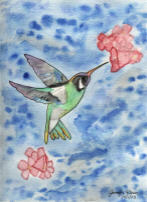 Hummingbird in watercolor