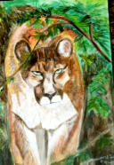 Mountain Lion painting I did in art class
