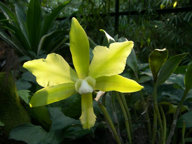 Photo taken with this Kodak P880 8 mega pixel camera