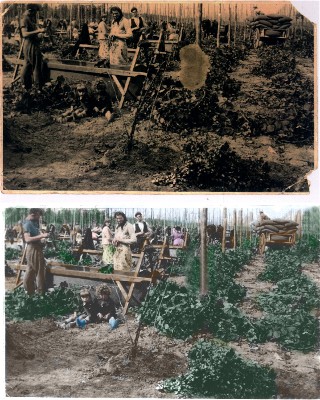 Another old photo restored