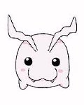 Tokomon