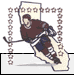 California Amateur Hockey Association