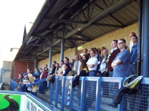on the terraces