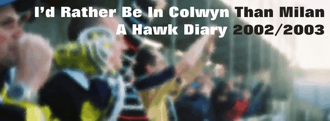 Diary of a Hawk