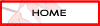 Home button