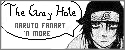 The Gray Hole