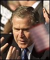 _1007950_bush100.jpe (5625 bytes)