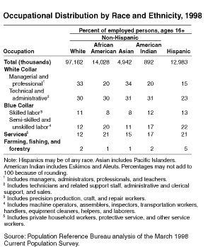 occupationalsegg.gif (10542 bytes)