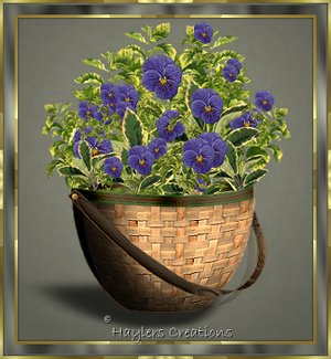 bonniebasket