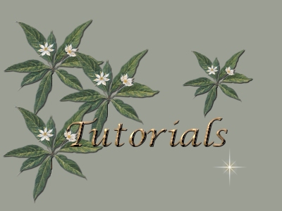 haylerstutorialheader