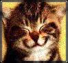 Al3eed Pages!
