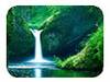 Right Click --> Save Target As