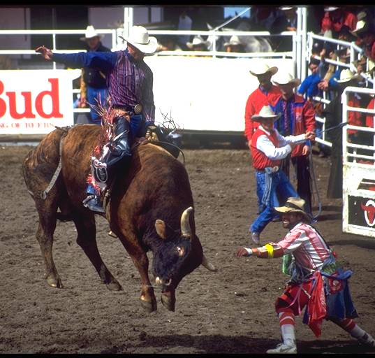 Tuff Makin' 8