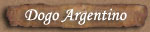 Ir a Dogos Argentinos Haza Vieja