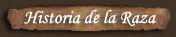 Historia del Dogo Argentino