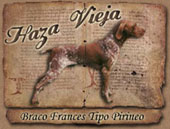 Haza Vieja Braco Franc&eacute;s del Pirineo y Dogos Argentinos