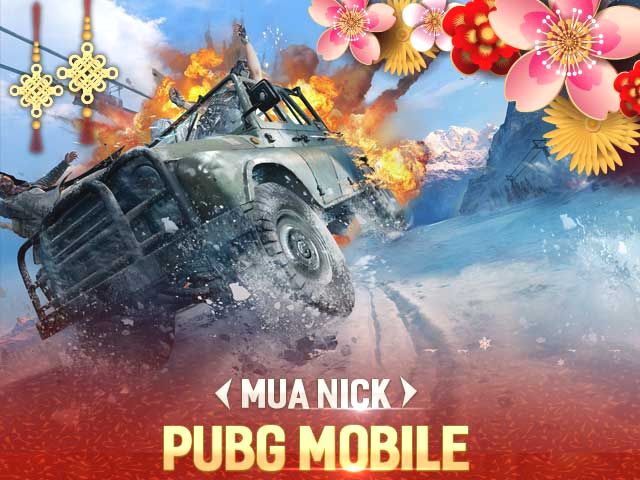 Pubg Mobie