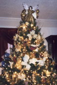 Chrispctone.gif (18516 bytes)