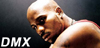 DMX fan
