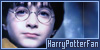 The Harry Potter Movies