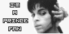 Prince or the Artist Fan