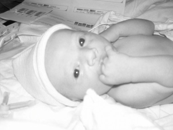 Lil'Steve 1