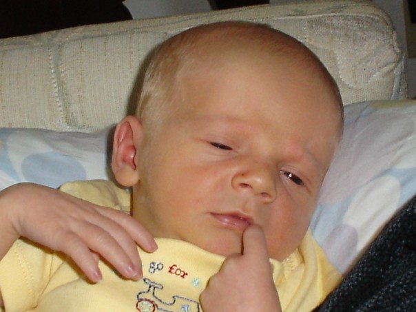 The Thinker