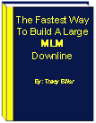 The Fastest Way To Build a Large MLM Downline