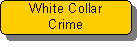 White Collar Crime