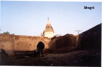 temple-sheikhanwala-mohallah.jpg