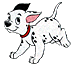 dalmation jpg