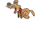 runhound gif