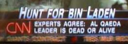 Experts: OBL is Dead or Alive (undated)