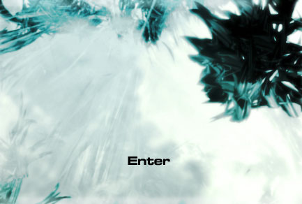 Enter