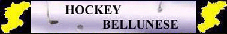 Hockeybellunese